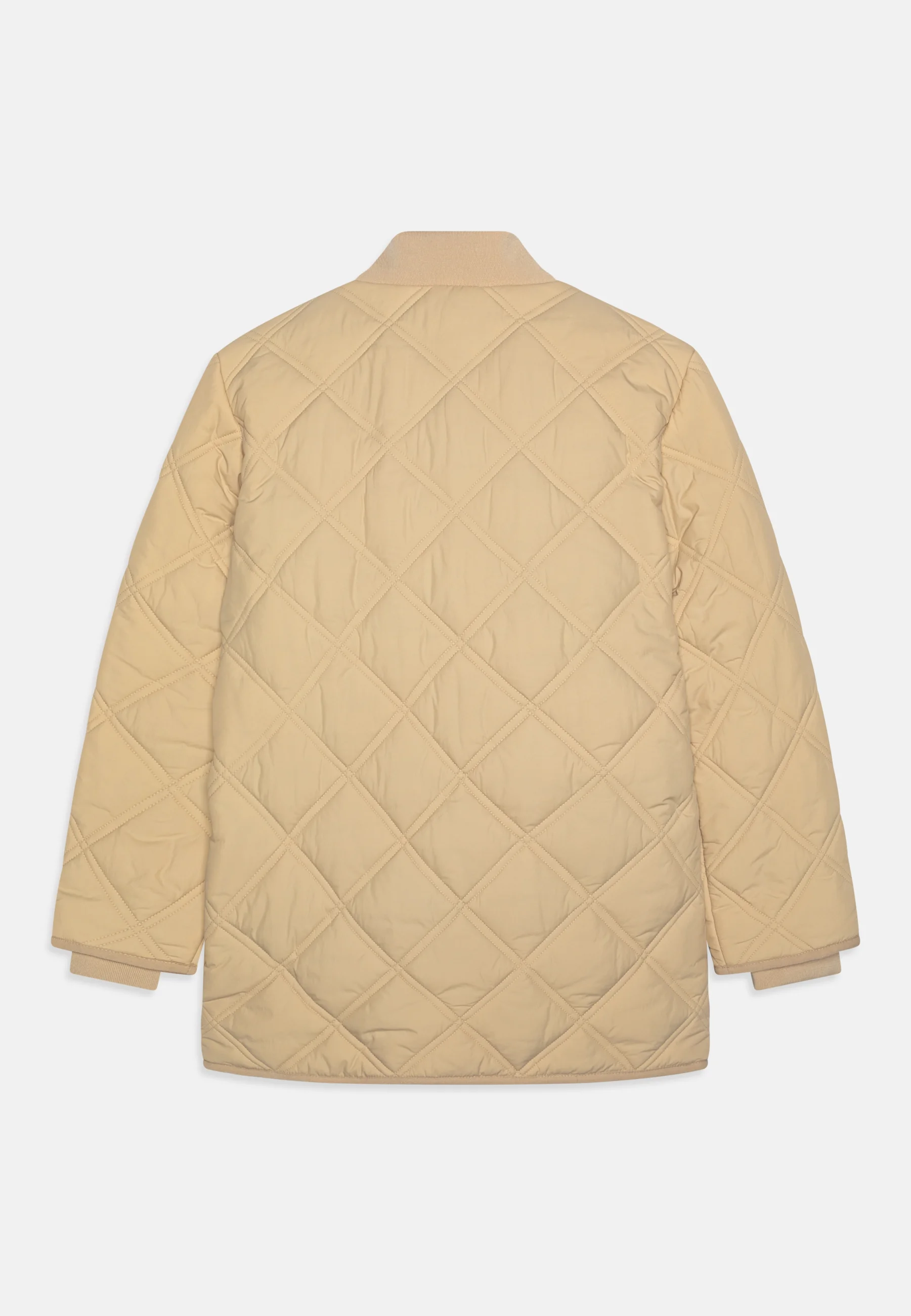 Tommy Hilfiger QUILTED - Chaqueta de entretiempo