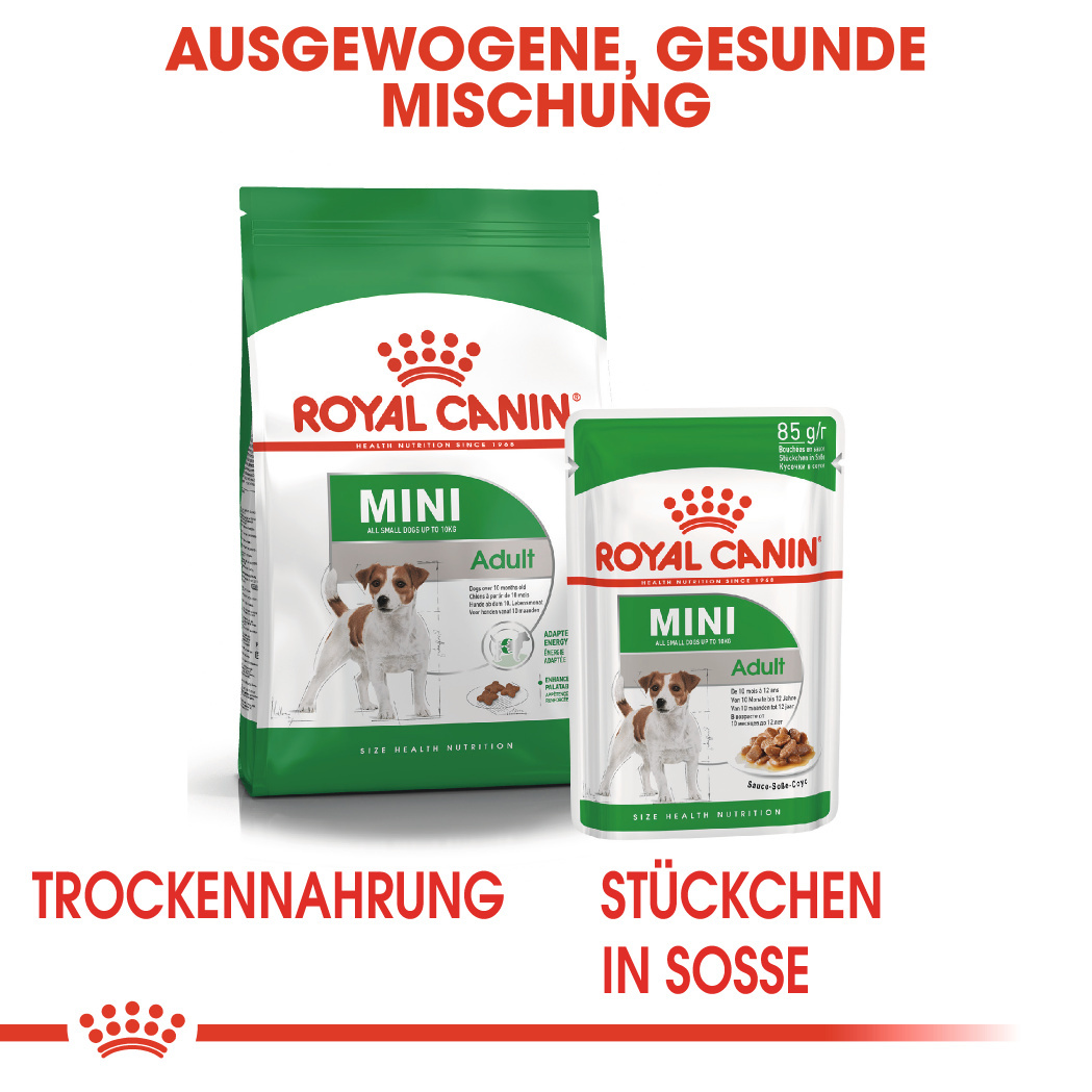 ROYAL CANIN Hundetrockenfutter ROYAL CANIN Mini Adult 8+1kg