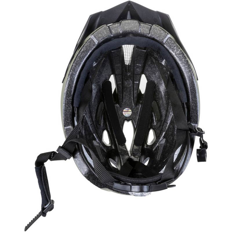 ALPINA Panoma 2.0 L.E. Helm