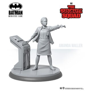 Amanda Waller's Command Team