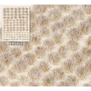 Arctic Tuft