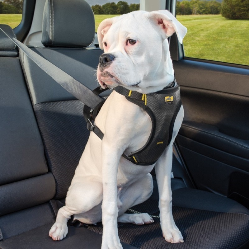 Kurgo Autozubehör Kurgo Autogeschirr Impact Seatbelt M