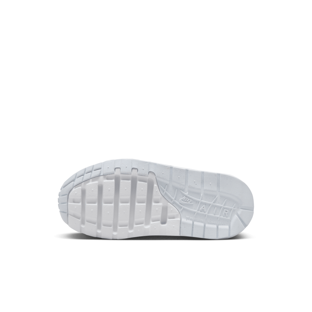 Nike Air Max 1 DZ3308-102 / braun