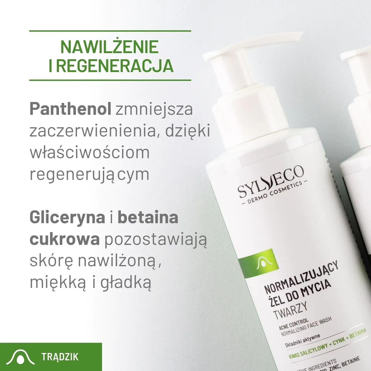 Sylveco Dermo Normalizing Facial Cleansing Gel