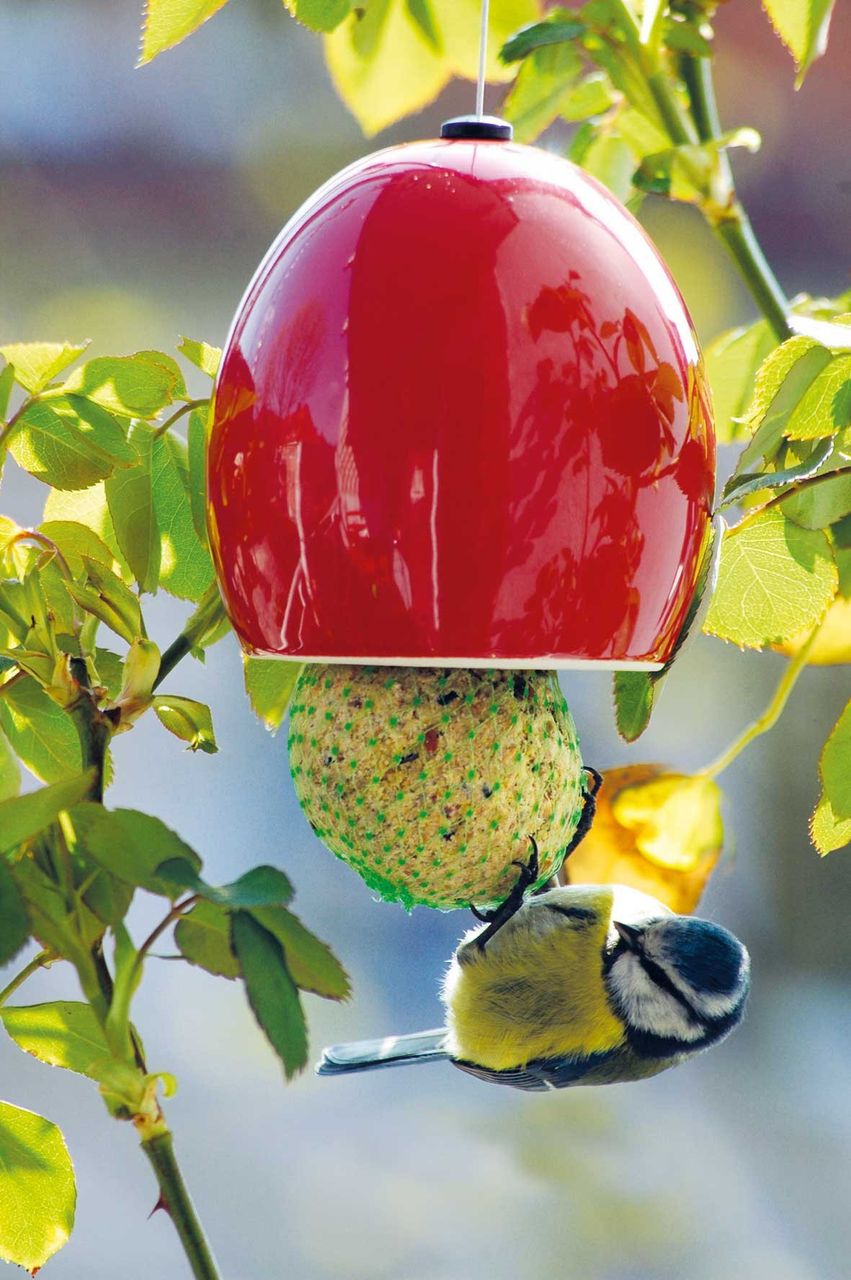 Luxus-Vogelhaus Keramik-Futterspender 
