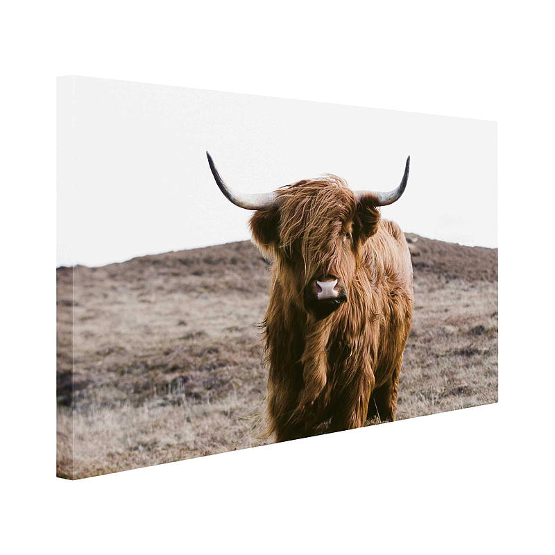 Home Canvasbilde 70x100 cm