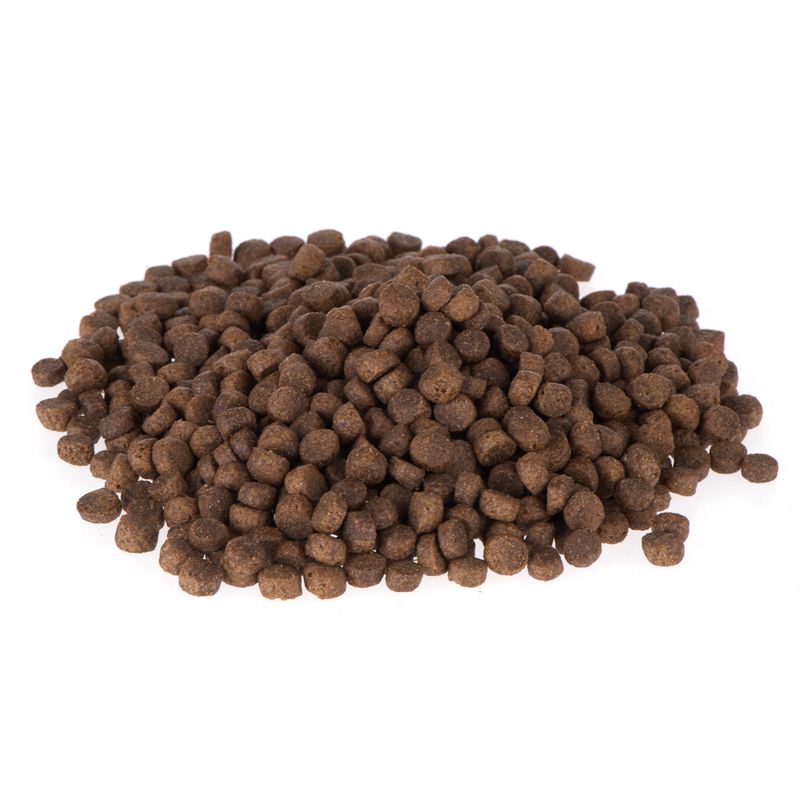 Briantos Adult Mini Lamm & Reis zu TOP-Preisen