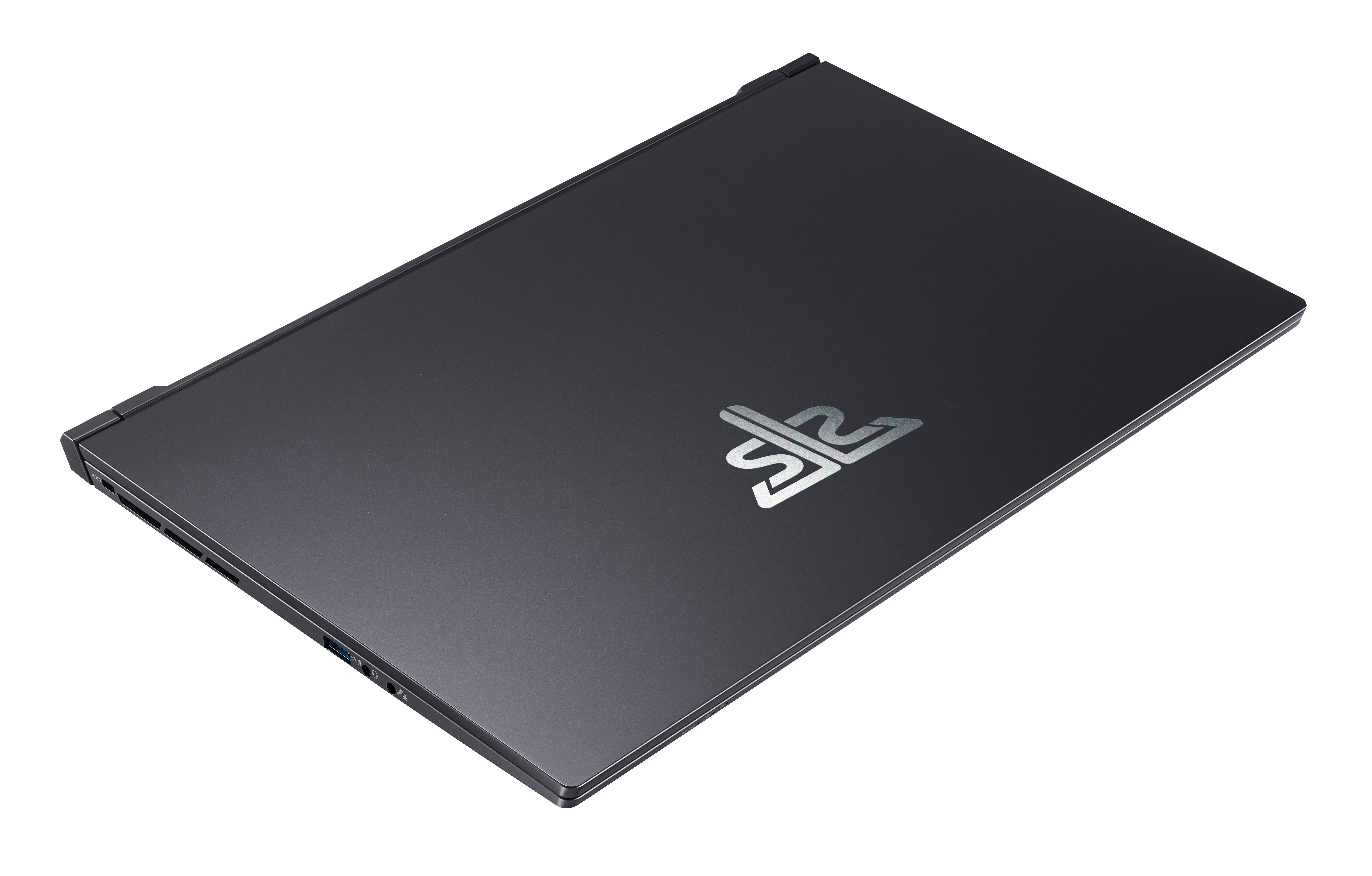 Hyrican Striker SET2341 Gaming-Notebook (39,62 cm/15,6 Zoll, Intel Core i7 11800H, GeForce RTX 3070, 1000 GB SSD, Windows 11, inkl. Gaming-Headset, Mauspad und Maus mit RGB-Beleuchtung)