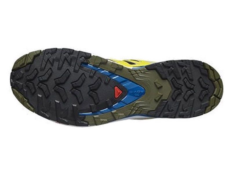 Salomon XA Pro 3D V9 GTX Butter/Lapi Herren Wanderschuhe