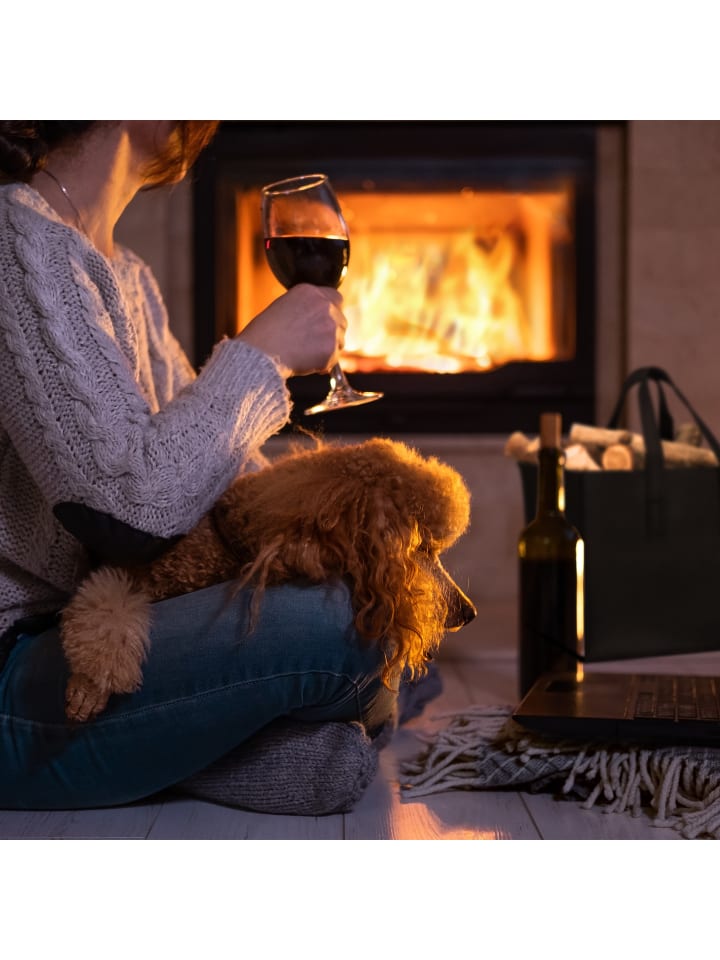 relaxdays Kaminholzkorb in Anthrazit - (B)43 x (H)34,5 x (T)36,5 cm günstig kaufen onesize
