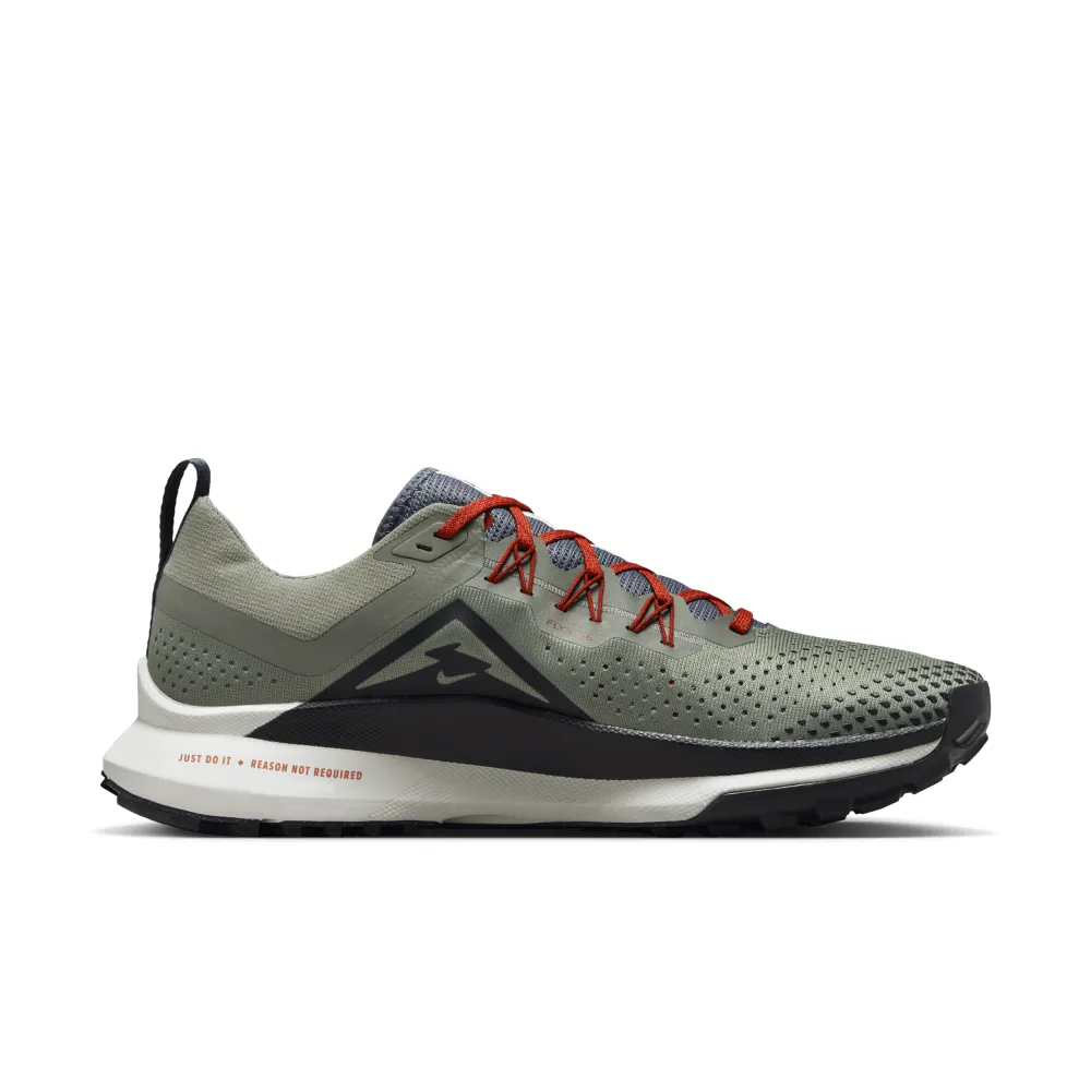 Nike Pegasus Trail 4 DJ6158-007 / grau