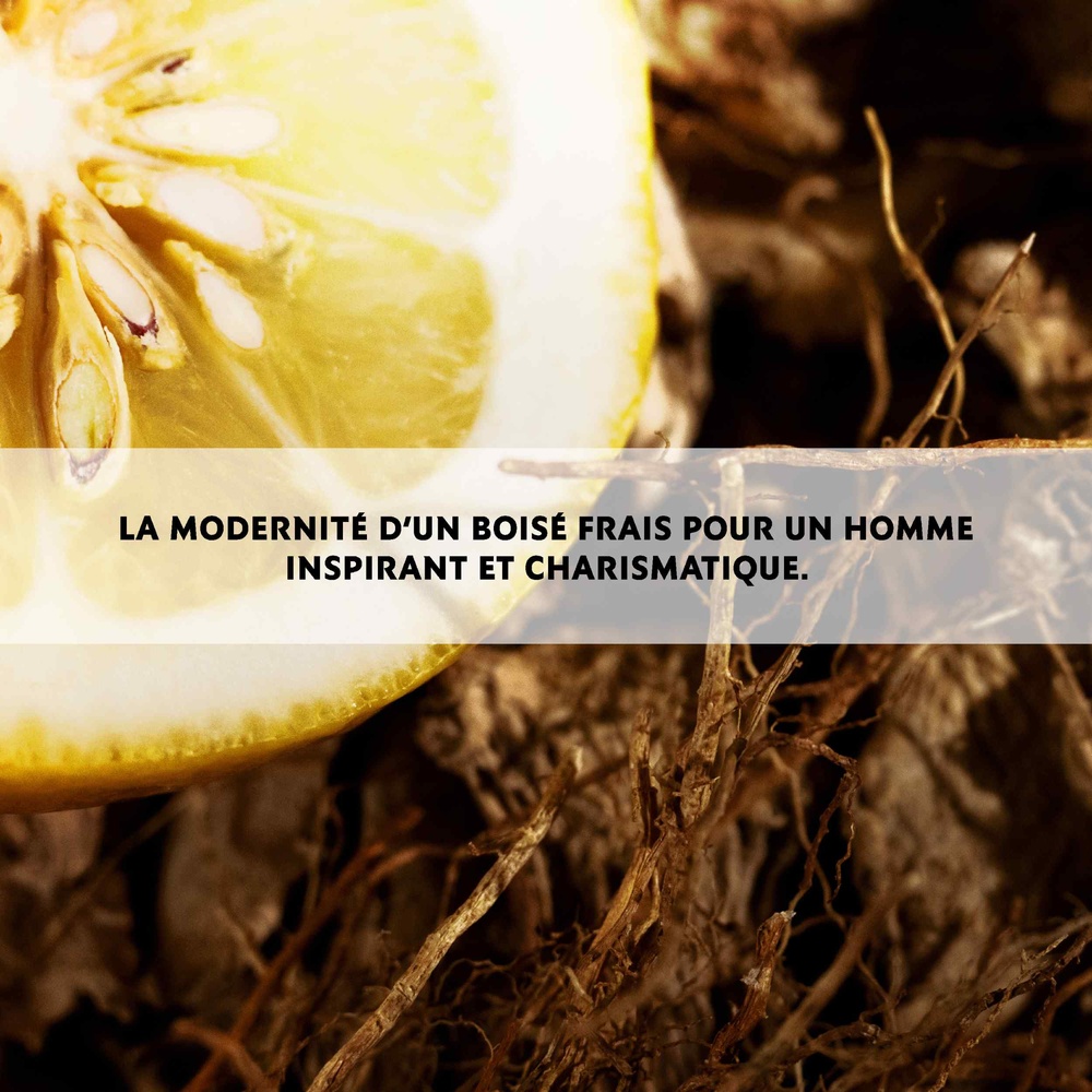 Yves Saint Laurent L'Homme Eau de Toilette Homme