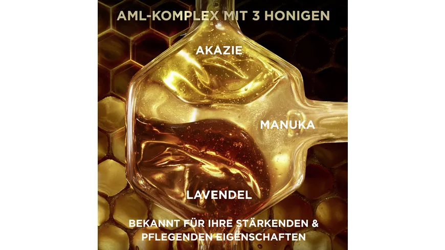 Garnier Wahre Schätze Haarkur Hair Remedy Honey Treasure 340 ml