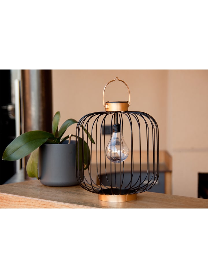 lumisky LED-Solarleuchte 