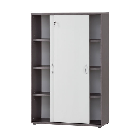 Serie 4000 Aktenschrank 4800, esche grau/weiß matt