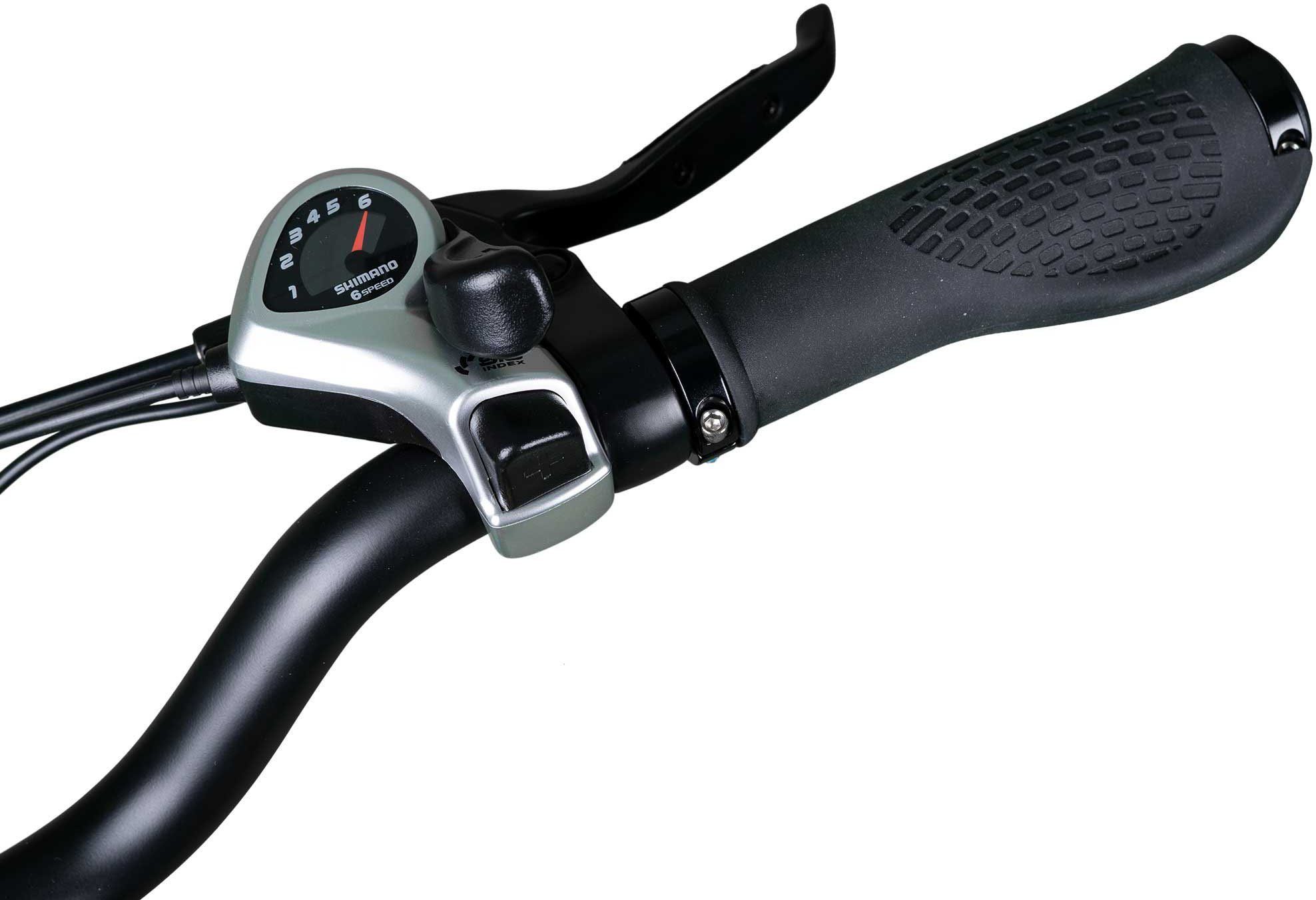 Jeep E-Bikes E-Bike TLR 7021, 7 Gang, Kettenschaltung, Heckmotor, (mit Akku-Ladegerät)