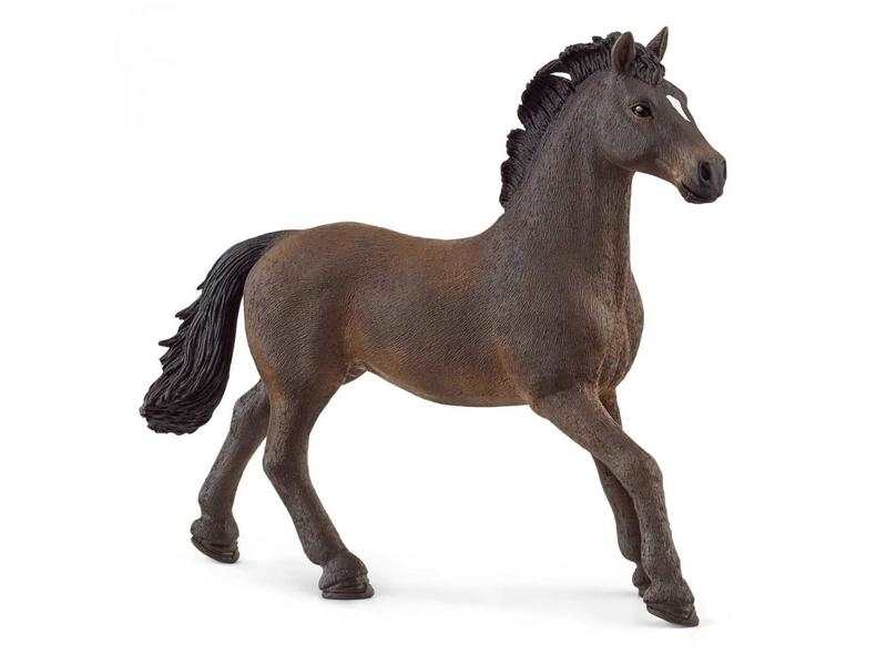 Étalon Oldenbourg