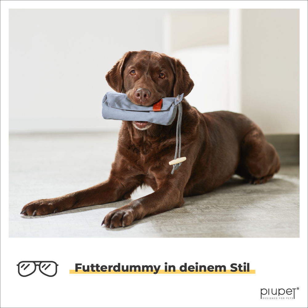 PIUPET Snackbeutel PIUPET Apportierbeutel/Futterdummy