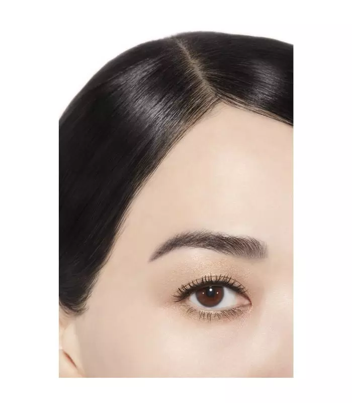 OMBRE PREMIÈRE Ombre à Paupières Poudre Longue Tenue