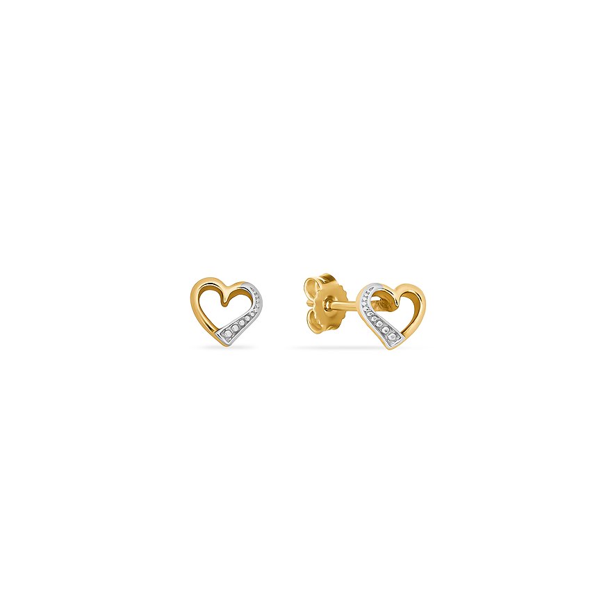 FAVS Ohrstecker