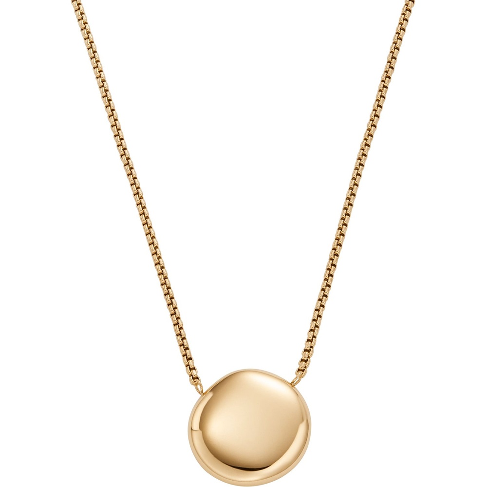 Skagen Chaînette Acier inoxydable collier
