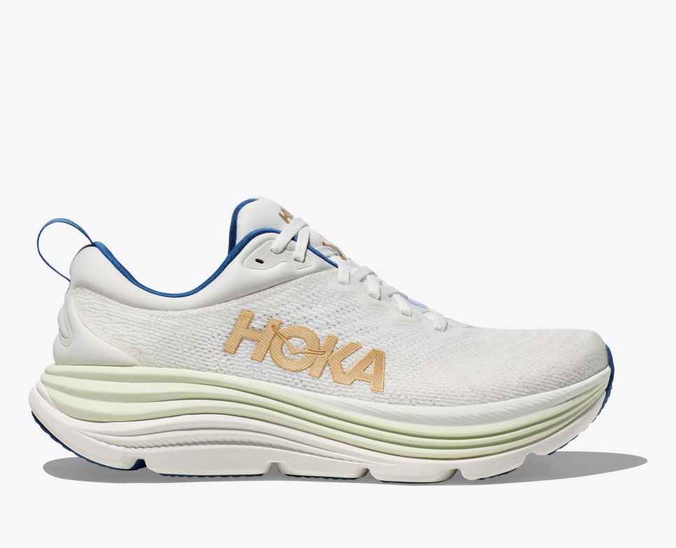 Gaviota 5 Frost / Gold