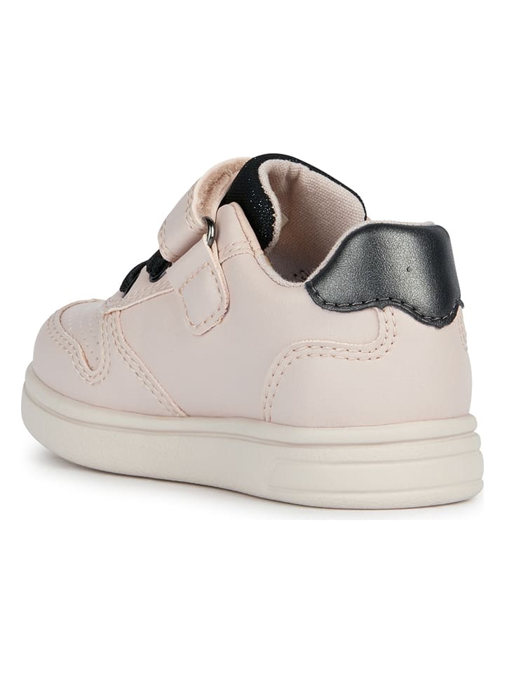 Geox Sneakers 