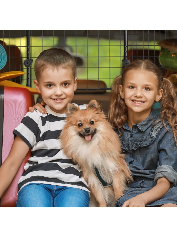 relaxdays Hundegitter Auto in Schwarz - (B)92-157 x (H)40 x (T)5 cm günstig kaufen onesize
