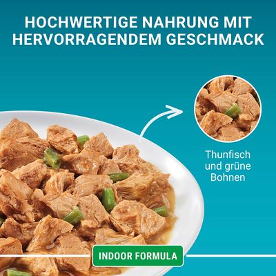 PURINA ONE Indoor Formula