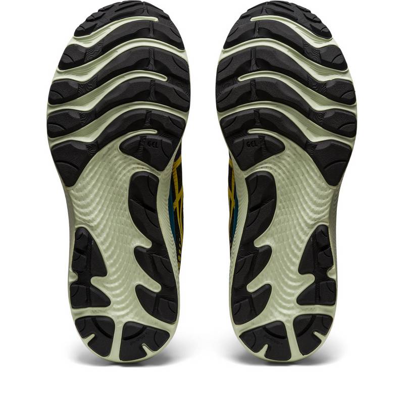 ASICS GEL-CUMULUS 24 Laufschuhe Herren