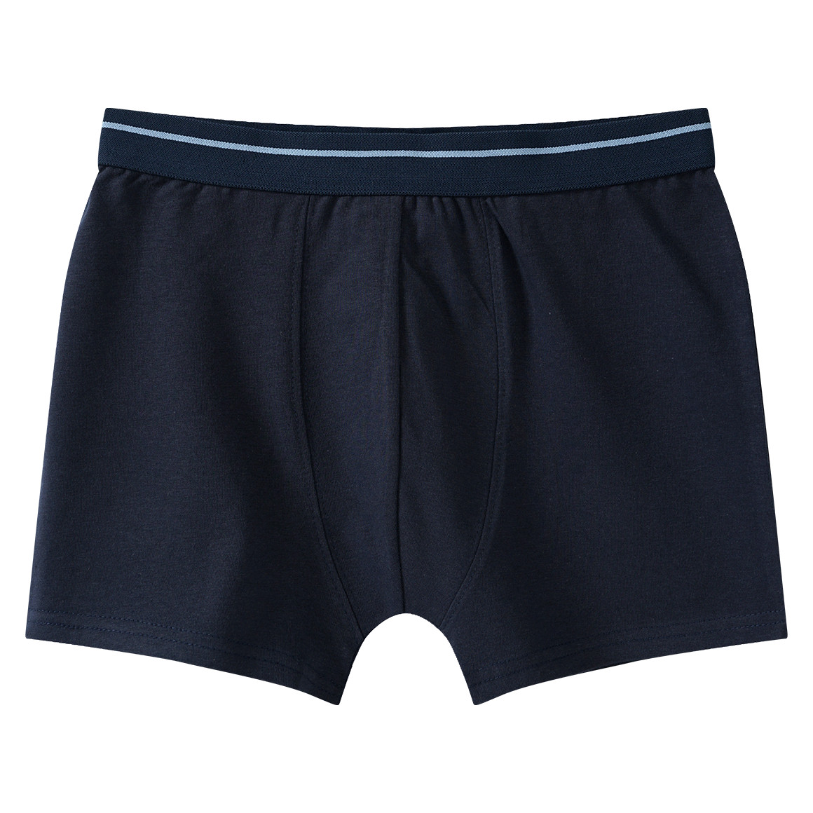 3 Jungen Boxer mit Webbund