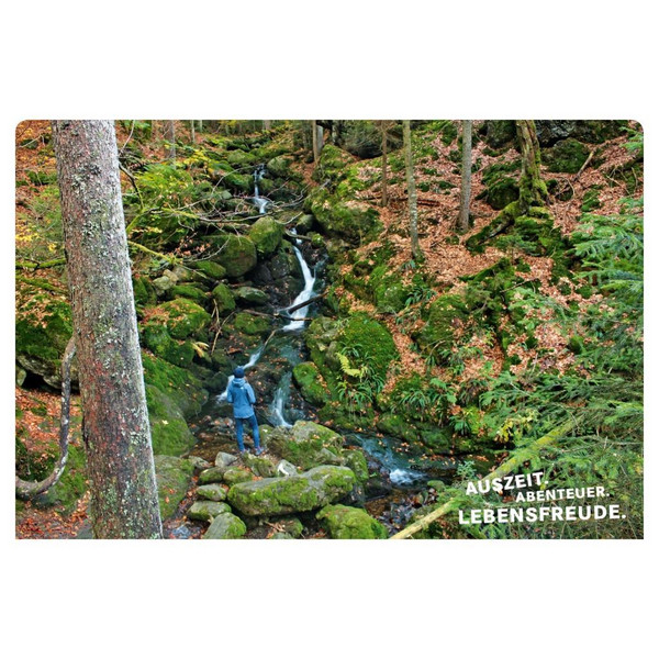 52 kleine und große Eskapaden im Bayerischen Wald - Reiseführer