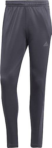 adidas Sportswear Herren Jogginghose TIRO