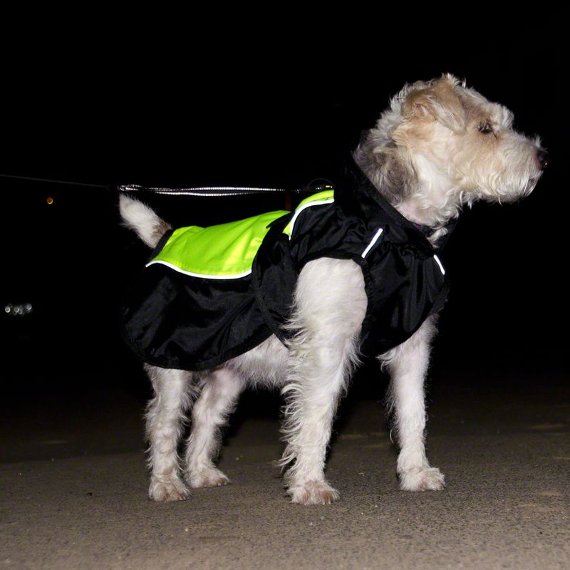 Hundemantel Illume Nite Neon zu TOP-Preisen