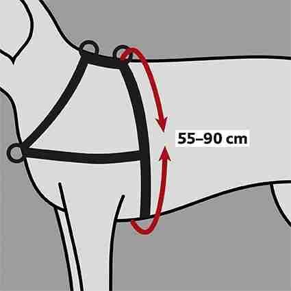 Trixie Hundeleinen Trixie Trainingsgeschirr Lead'n'Walk Soft