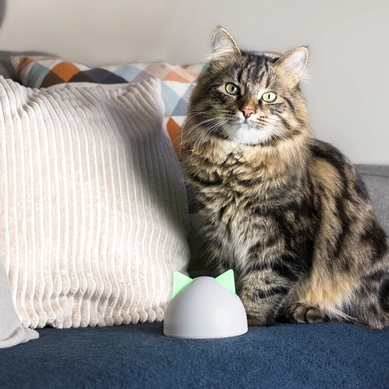 SureFlap Futterautomaten SureFlap Sure Petcare Hub