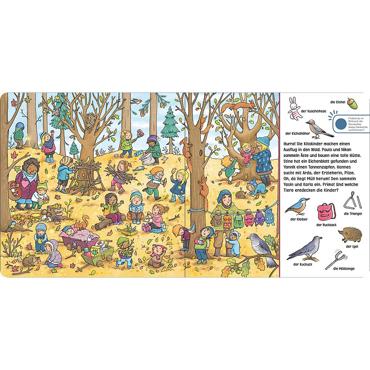 Hör mal (Soundbuch): Wimmelbuch: Wald und Wiese