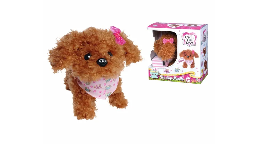 Simba - Chi Chi Love - Tea Cup Poodle Puppy