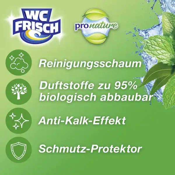 Kraft-Aktiv Pro Nature Duftspüler Minze & Eukalyptus