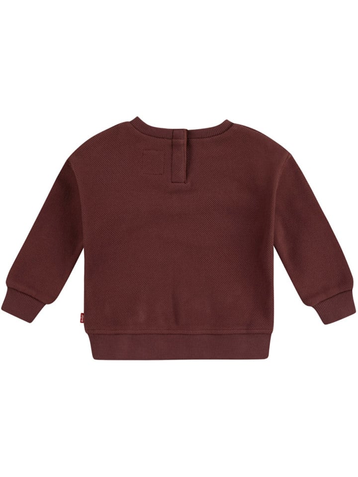 Levi's Kids Sweatshirt in Braun günstig kaufen