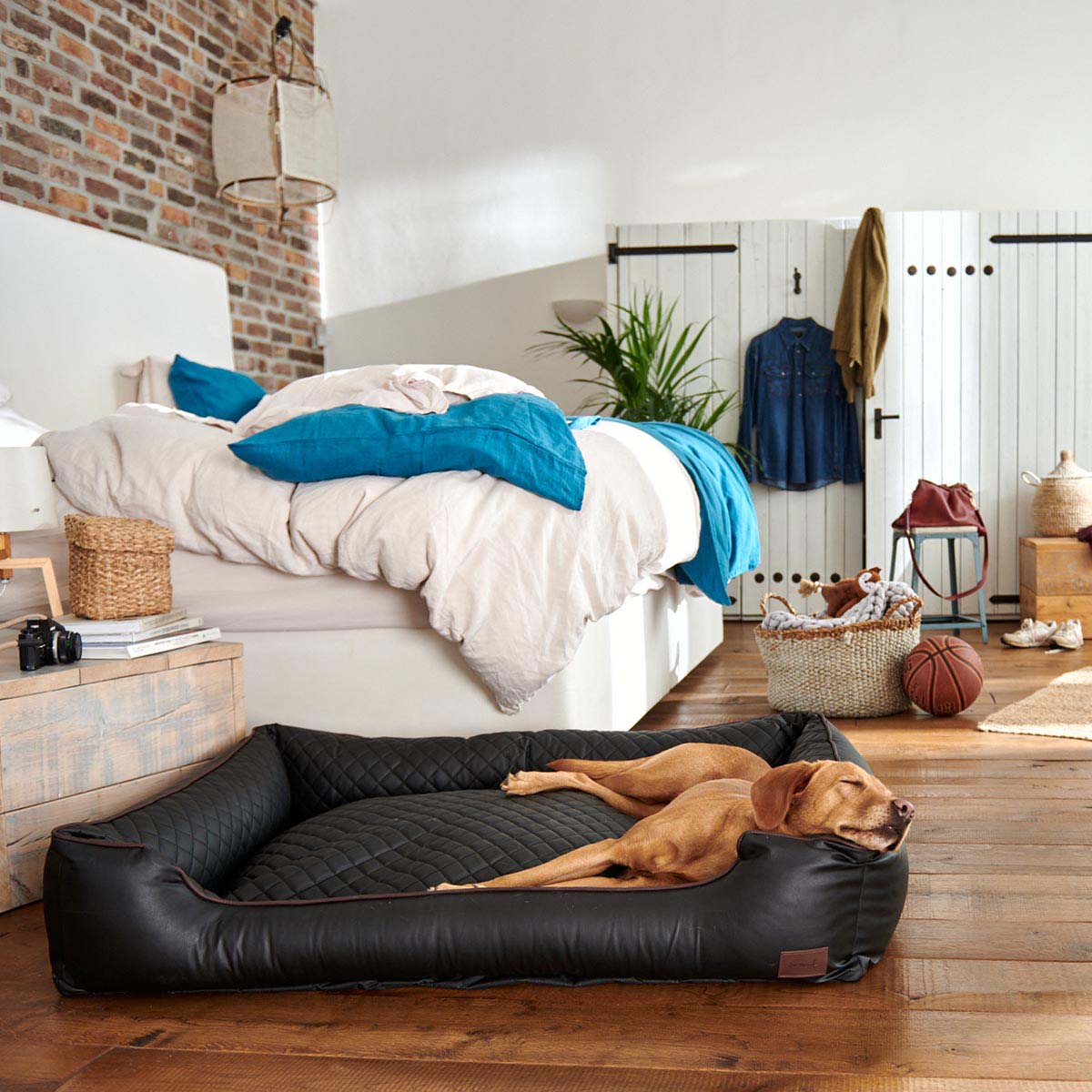 furrysoul orthopädisches Hundebett Mads schwarz bei ZooRoyal