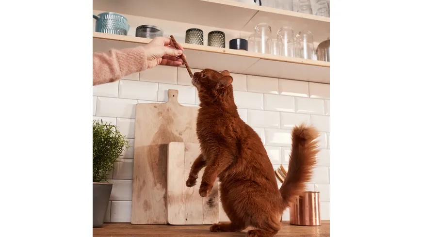 GimCat KatzensnackSticks Lamm & Geflügel 20 g