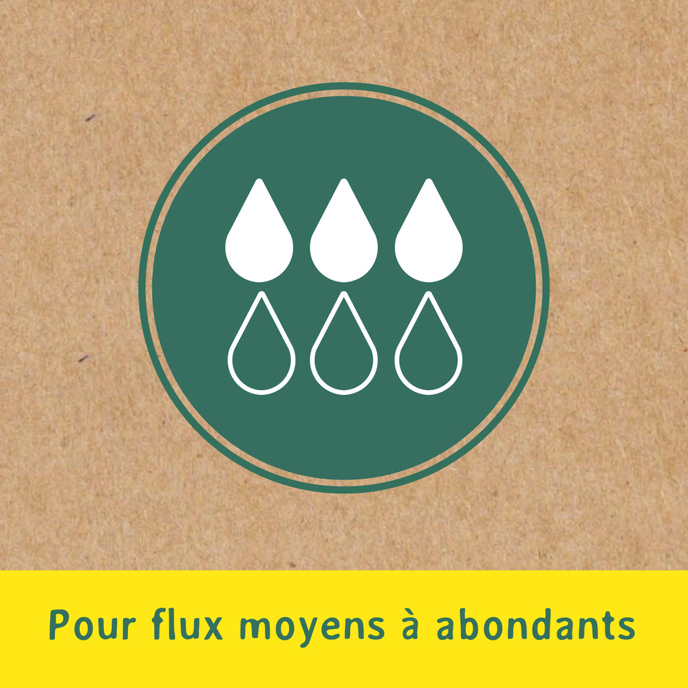 nett Coton Bio Tampon sans Applicateur, Normal, Boite de 16 Tampons Tampon