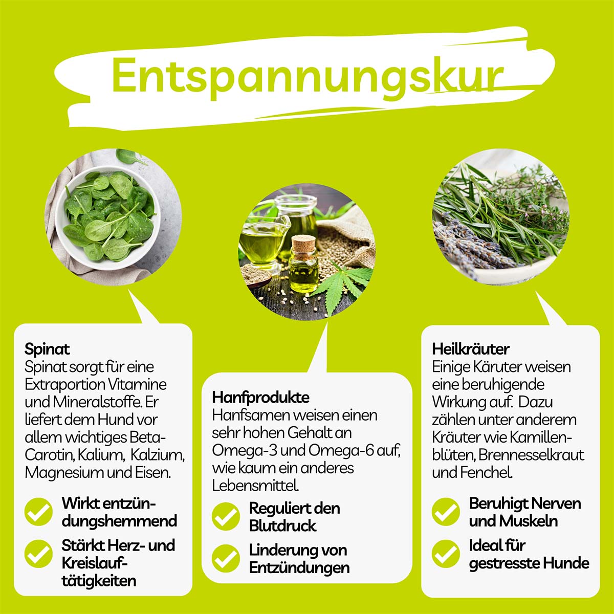 BugMischung Adult grün Spinat & Hanf günstig kaufen bei ZooRoyal