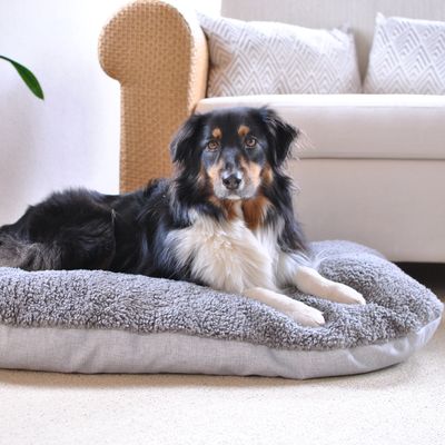 Pawz & Pepper Hundekissen Denver Ortho
