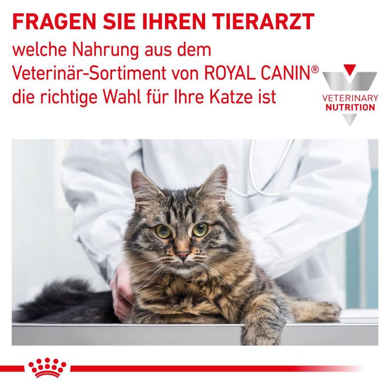 Royal Canin Veterinary Feline Early Renal zu TOP-Preisen | bitiba
