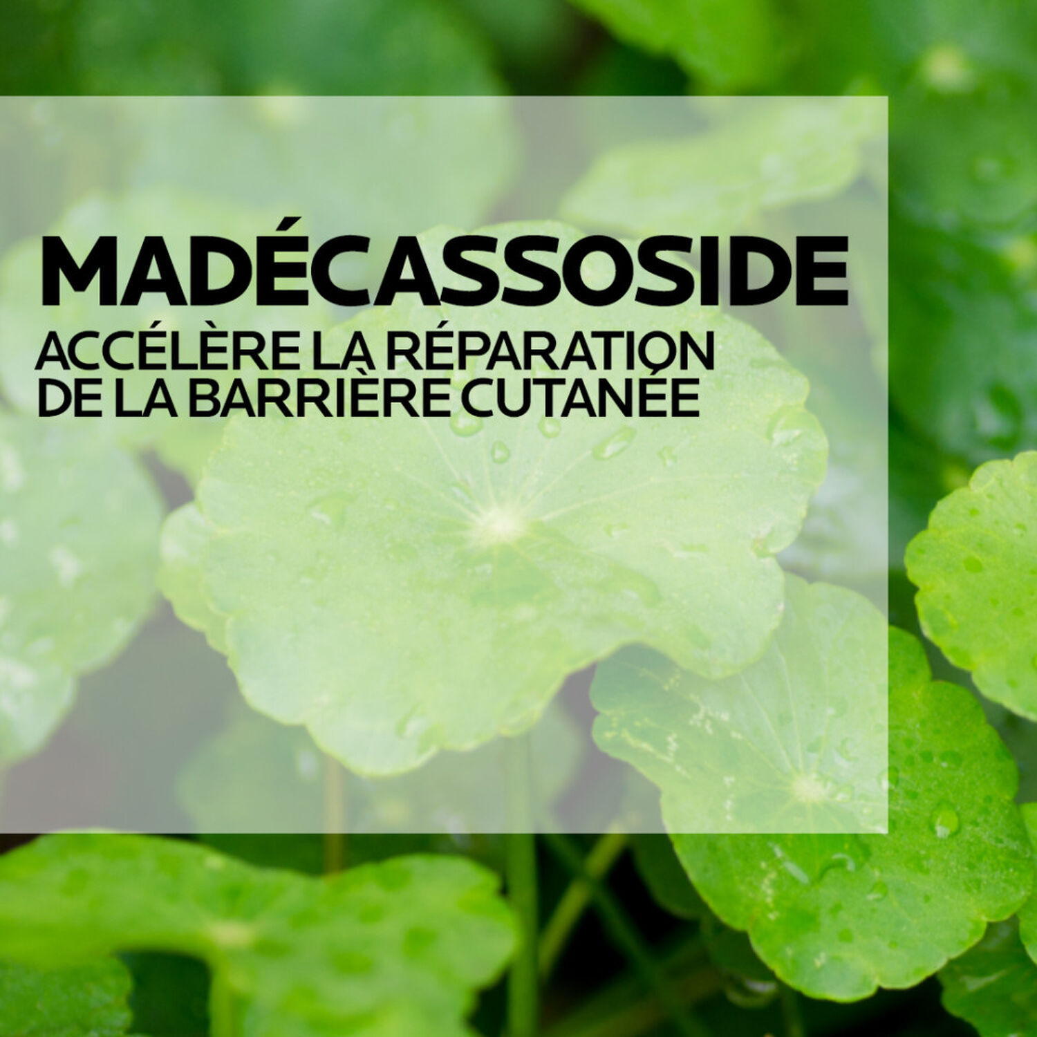 la roche-posay Cicaplast Baume B5+ Ultra-Réparateur Apaisant