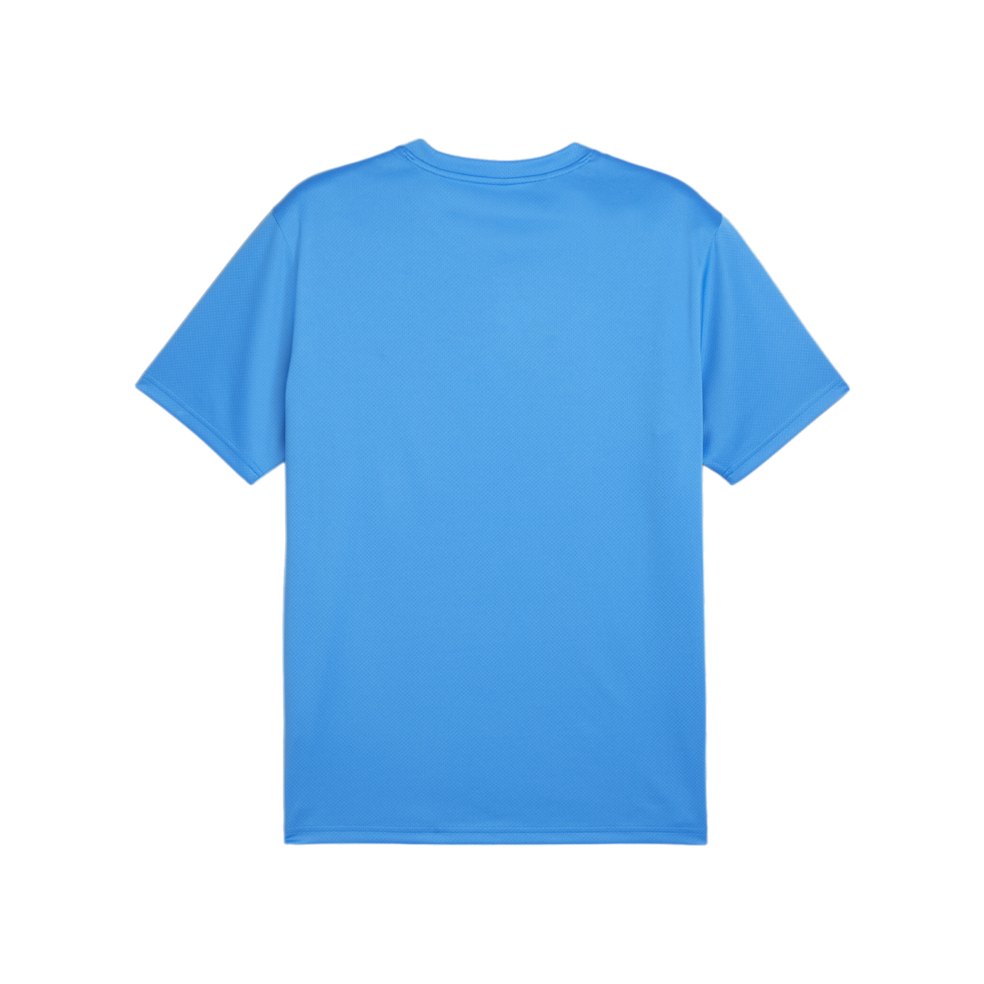PUMA teamGOAL Trikot Blau F02