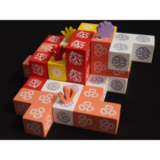 Coral (Multilingual)