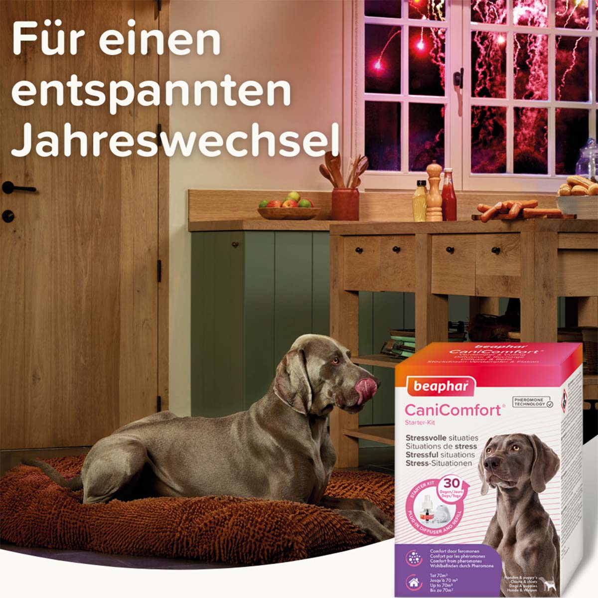 beaphar CaniComfort Starter-Kit für Hunde kaufen bei ZooRoyal